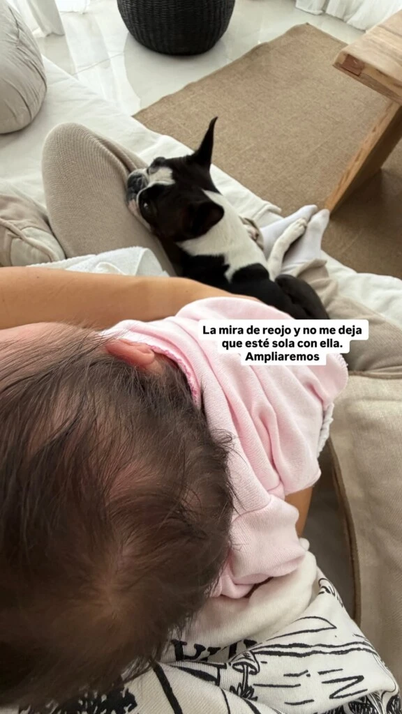 Con el humor que la caracteriza, también mostró la reacción de su mascota ante la llegada de Serena. “La mira de reojo y no me deja que esté sola con ella. Ampliaremos”, comentó entre risas.
