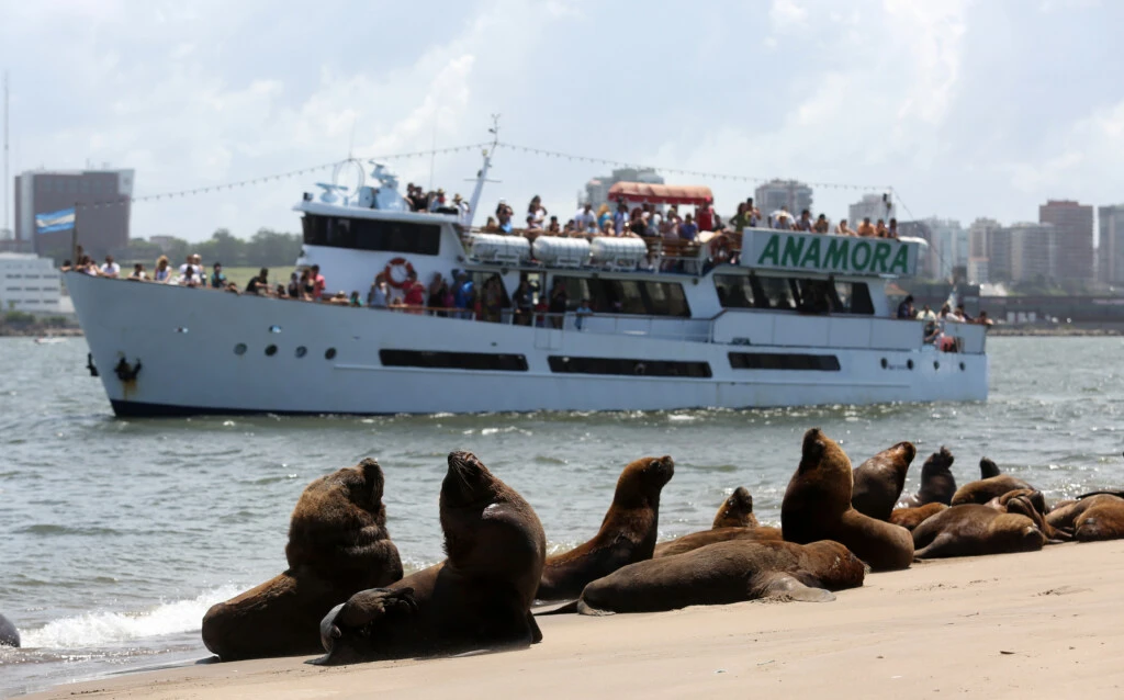 Las excursiones marítimas permiten descubrir una perspectiva diferente de la ciudad desde el mar.