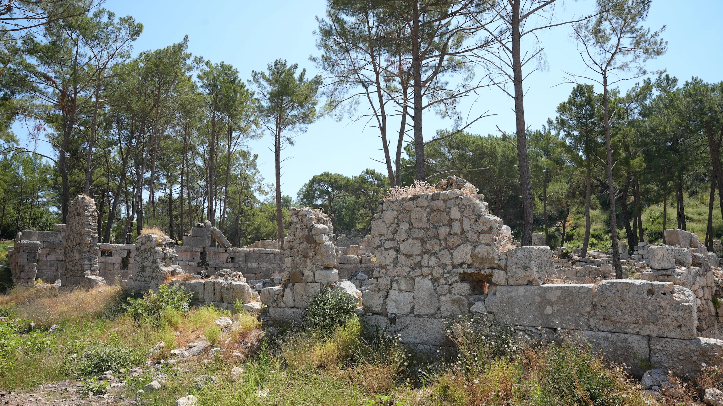Las ruinas no solo se integran al paisaje: ya son parte de la escena.