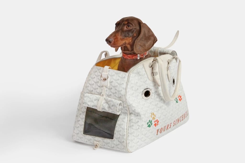 Subasta de lujo para mascotas