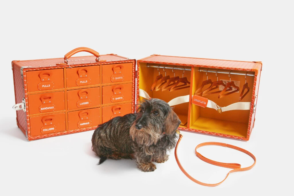 Subasta de lujo para mascotas