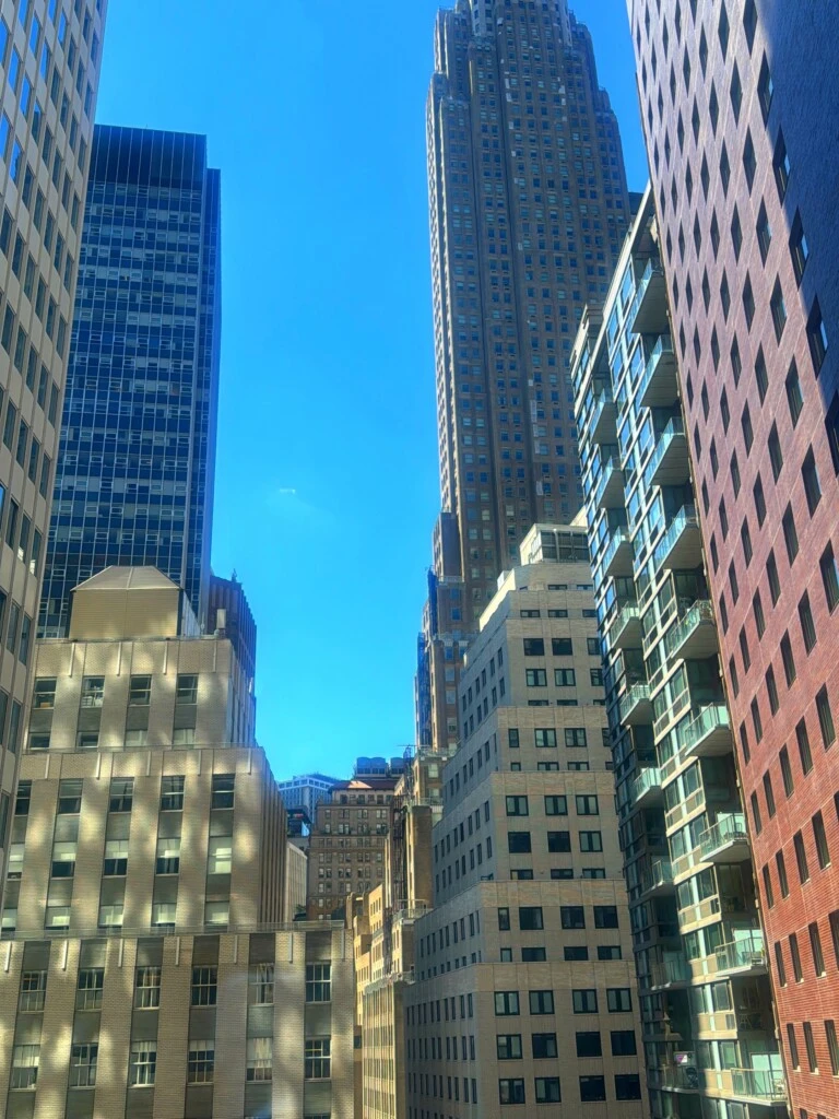 “El edificio más alto de NY tiene 104 pisos”, comentó sorprendida ante la inmensidad de la ciudad.
