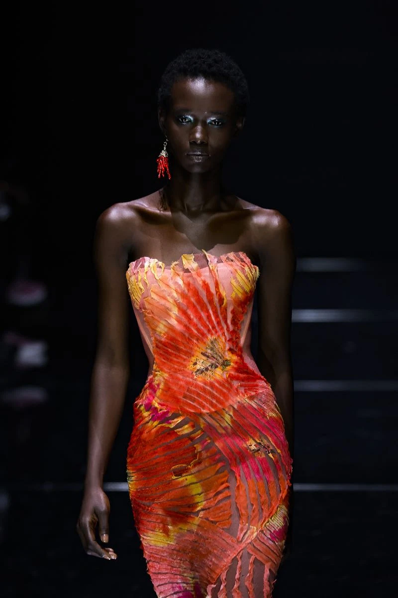 Cavalli
