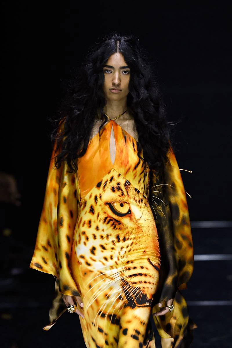 Cavalli