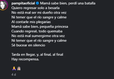 After taking part in the Pilgrimage to Luján, Pampita shared an emotional post on her social networks, in which she expressed her feelings after the experience.